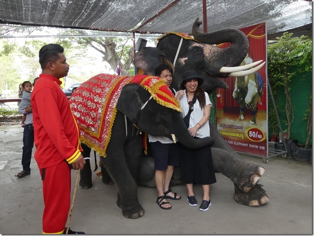 Ayutthayah - éléphants (46)